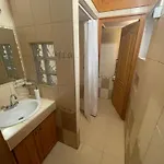 Platán * Marcali