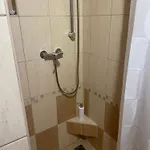 Platán